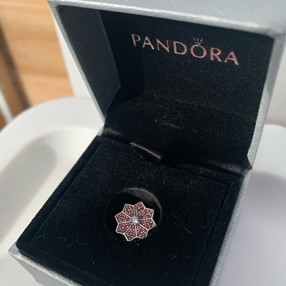 Pandora Charm